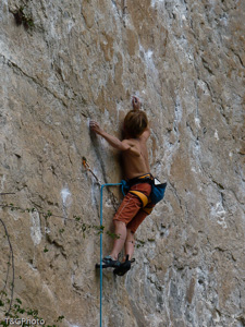 Arachnide 7c