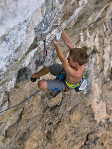 Nuovi aromi 8b