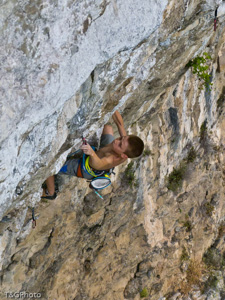 Nuovi aromi 8b