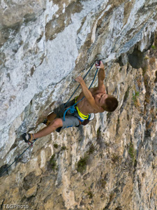 Nuovi aromi 8b