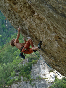 Octopus 7c+