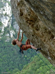 Octopus 7c+