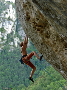 Octopus 7c+