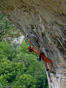 Octopus 7c+