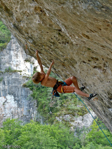 Octopus 7c+